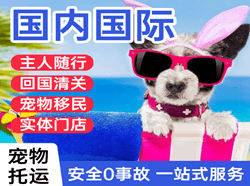 吐鲁番交河航空快运国际宠物托运 【国